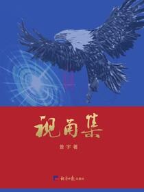 视角集