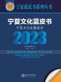 宁夏文化蓝皮书：宁夏文化发展报告.2023