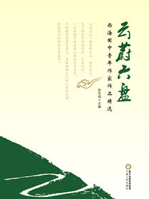 云蔚六盘：西海固中青年作家作品精选