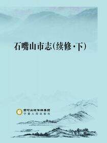 石嘴山市志：续修：下册