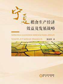 宁夏粮食生产经济效益及发展战略