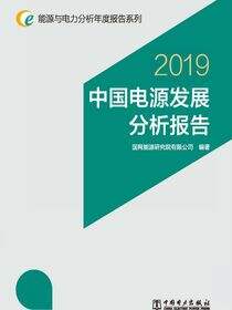 中国电源发展分析报告 2019