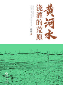 黄河水浇灌的荒原