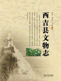 西吉县文物志