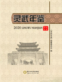 灵武年鉴.2020