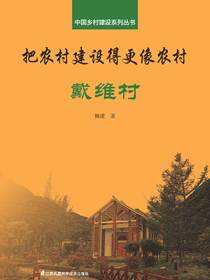 中国乡村建设系列丛书——把农村建设得更像农村·戴维村