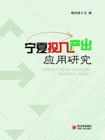 宁夏投入产出应用研究