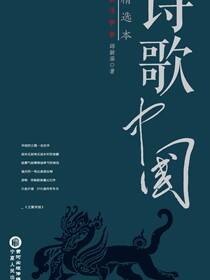 诗歌中国四卷