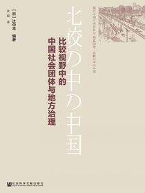 比较视野中的中国社会团体与地方治理
