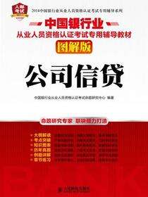 中国银行业从业人员资格认证考试专用辅导教材（图解版）——公司信贷