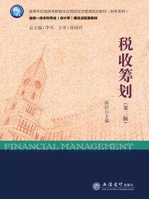 税收筹划（第二版）