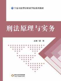 刑法原理与实务
