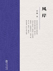 风岸
