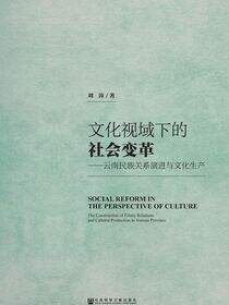 文化视域下的社会变革：云南民族关系演进与文化生产