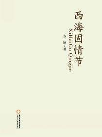 西海固情节