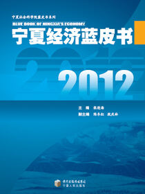 2012宁夏经济蓝皮书