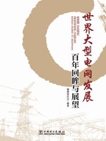 世界大型电网发展百年回眸与展望