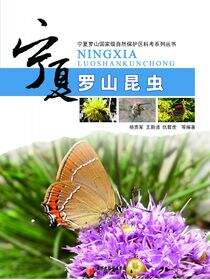 宁夏罗山昆虫