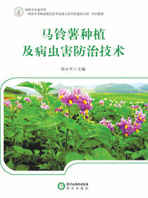 马铃薯种植及病虫害防治技术