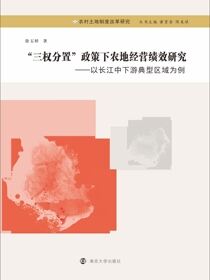 “三权分置”政策下农地经营绩效研究