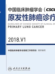 中国临床肿瘤学会(CSCO)原发性肺癌诊疗指南 2018.V1