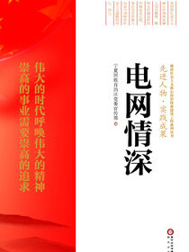 电网情深