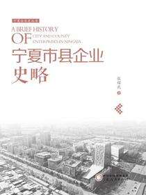 宁夏市县企业史略