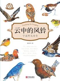 云中的风铃
