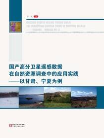 国产高分卫星遥感数据在自然资源调查中的应用实践:以甘肃、宁夏为例