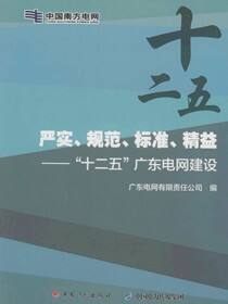 严实、规范、标准、精益：“十二五”广东电网建设