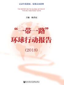 “一带一路”环球行动报告（2018）