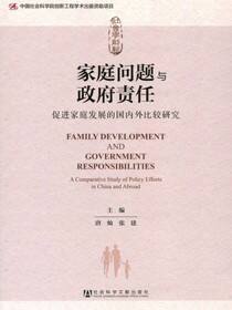 家庭问题与政府责任：促进家庭发展的国内外比较研究