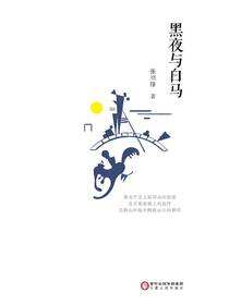 黑夜与白马
