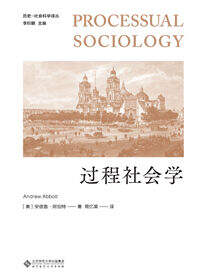 过程社会学