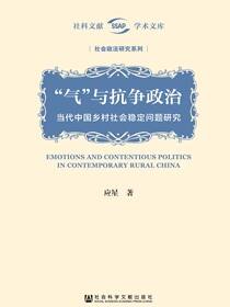 “气”与抗争政治：当代中国乡村社会稳定问题研究