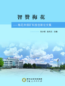 智赞梅花——梅花井煤矿科技创新论文集