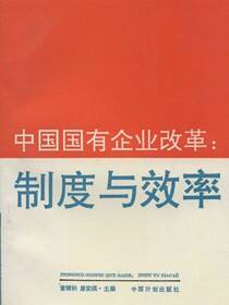 中国国有企业改革：制度与效率