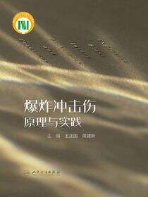爆炸冲击伤原理与实践