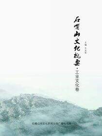 石嘴山文化概要.工业文化卷