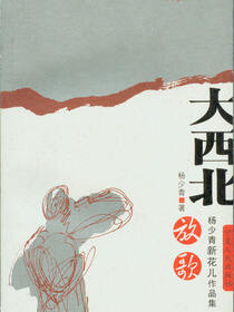 大西北放歌