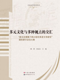 多元文化与多种视点的交汇