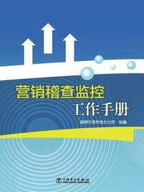 营销稽查监控工作手册