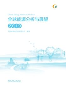 全球能源分析与展望 2019
