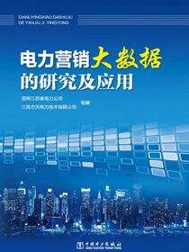 电力营销大数据的研究及应用