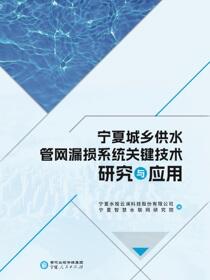 宁夏城乡供水管网漏损系统关键技术研究与应用