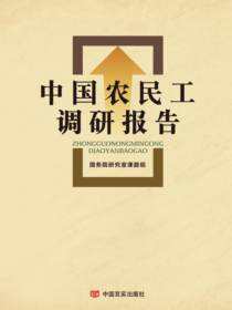 中国农民工调研报告