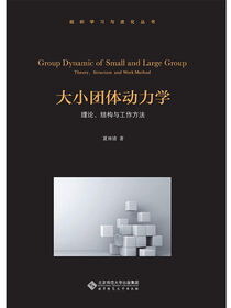 大小团体动力学.组织学习与进化丛书