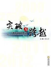 突破与跨越：宁夏统计改革发展历程