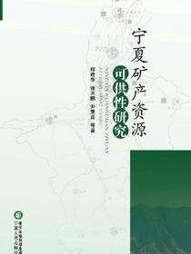 宁夏矿产资源可供性研究