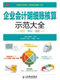 企业会计明细账核算示范大全